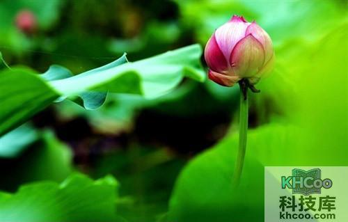 虚实 - 实现你突出主体简化画面的意图