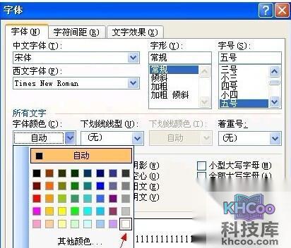 怎样隐藏Word文档中的文字5
