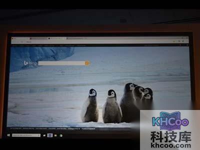 全新浏览器-Spartan