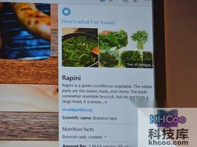 Windows 10全新浏览器截图5
