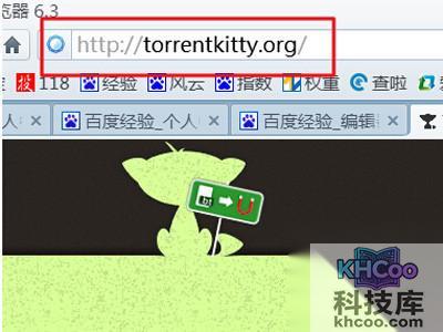 torrentkitty打不开怎么办