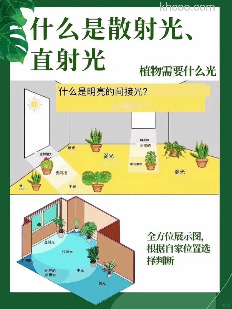 如何运用户外的光线 运用户外的光线技巧【详解】