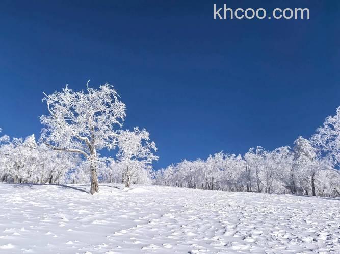 冬季拍摄雪景有什么技巧 冬季拍摄雪景技巧【详解】