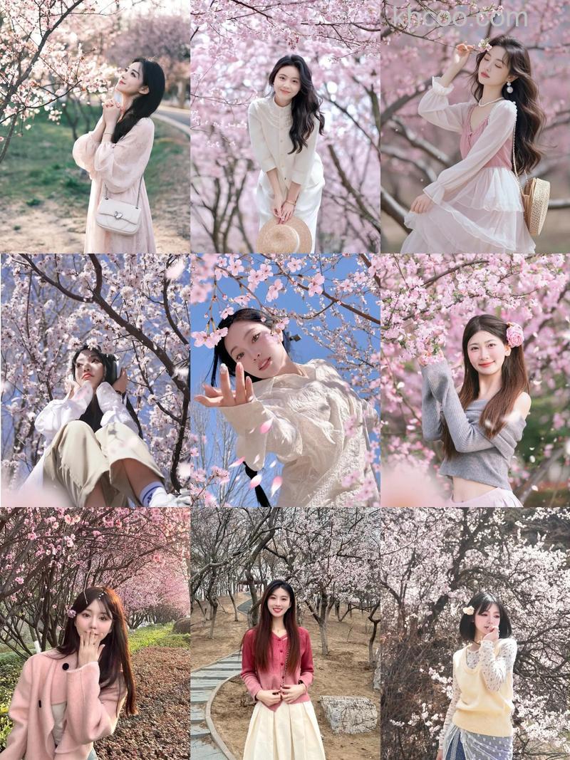 如何用单反拍出好看的桃花 用单反拍桃花方法【详解】