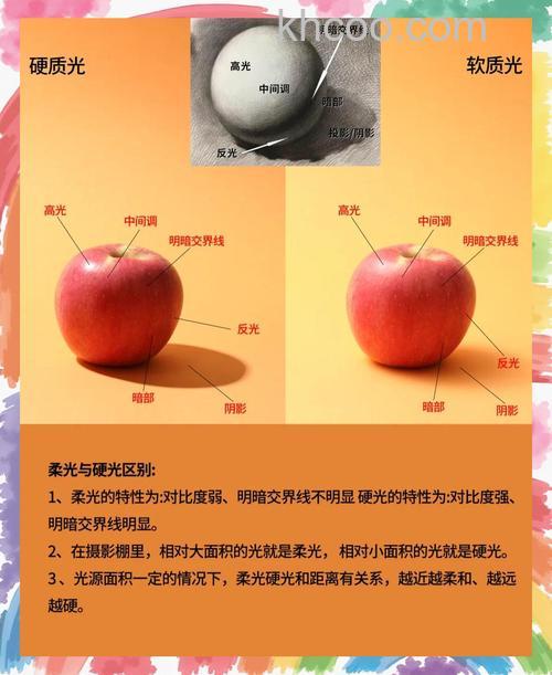 摄影硬光和软光有什么区别 摄影硬光和软光区别【详解】