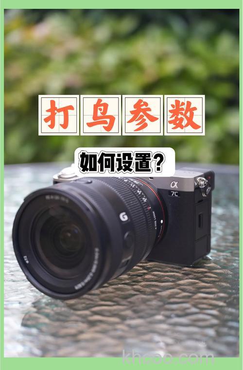 如何拍摄鸟类照片 拍摄鸟类照片技巧【详细介绍】