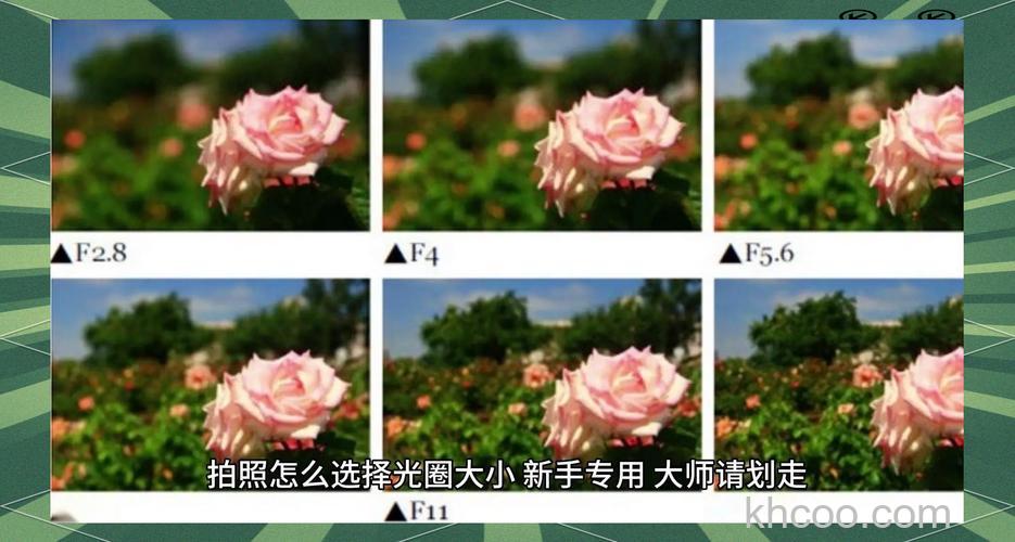 小光圈使用技巧有哪些 小光圈和大光圈区别【详细介绍】