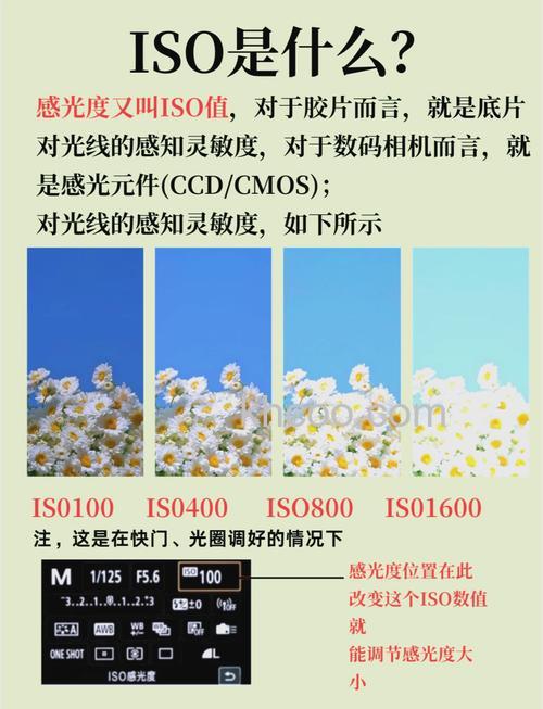 什么环境下适合低ISO ISO感光度设置教程【详细介绍】