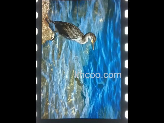 什么是反转片 反转片有哪些用途【详解】