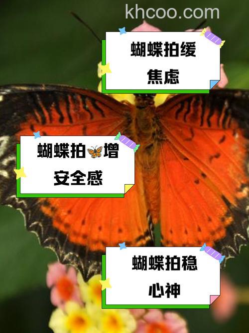 昆虫摄影应注意什么 昆虫摄影技巧有哪些【详解】