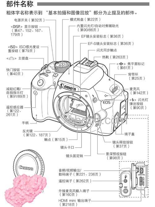 怎样正确使用相机 正确使用相机方法分析【详解】