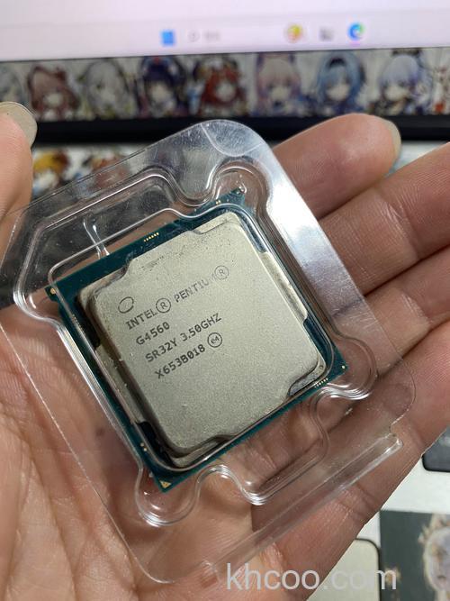 奔腾G4560搭配什么显卡好奔腾G4560显卡搭配指南