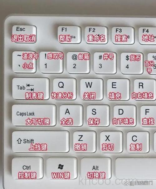 东芝笔记本在VISTA下来到下一页的快捷键是什么