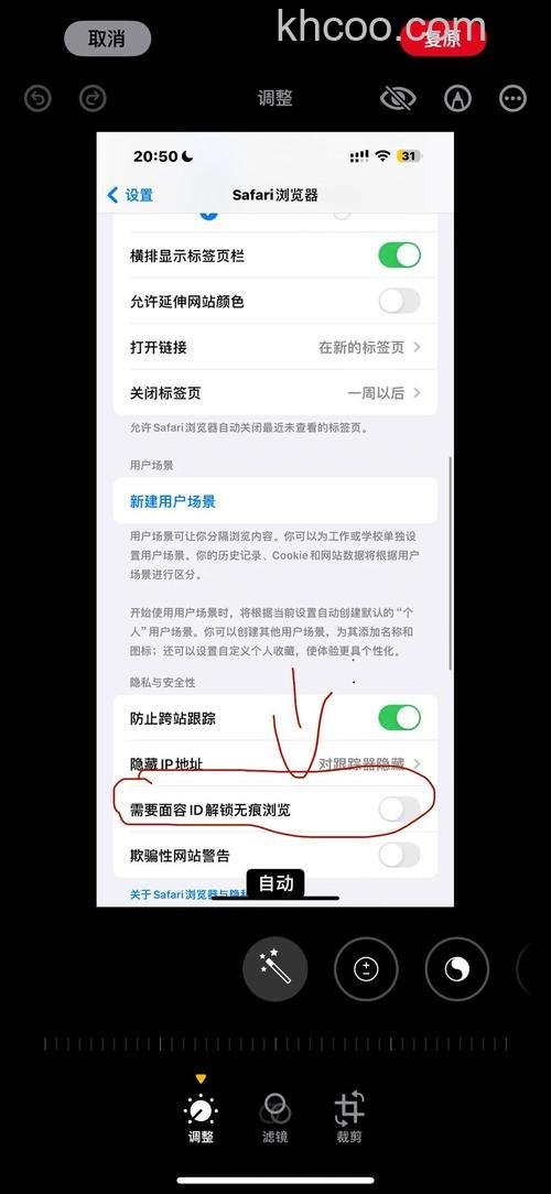 ios17无痕浏览功能怎么用 ios17无痕浏览功能使用方法【详解】(12328)