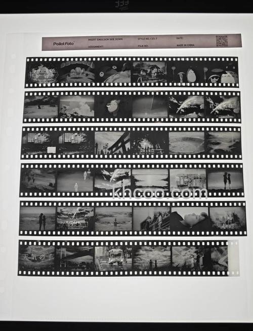 黑白胶片显影如何保存底片