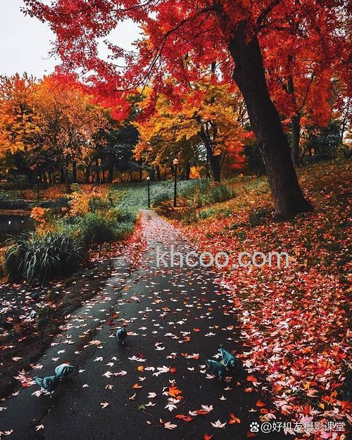 秋季风光摄影有什么技巧