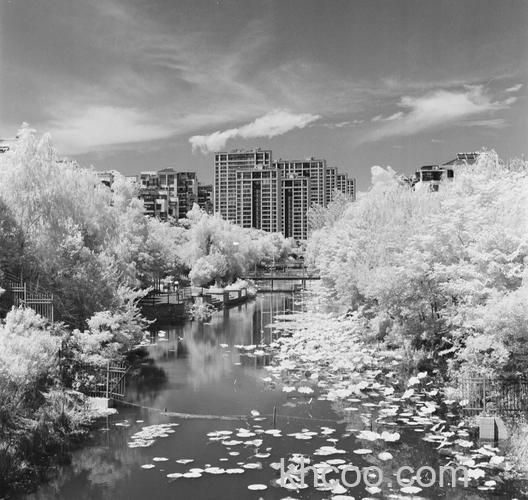 如何拍红外风光照