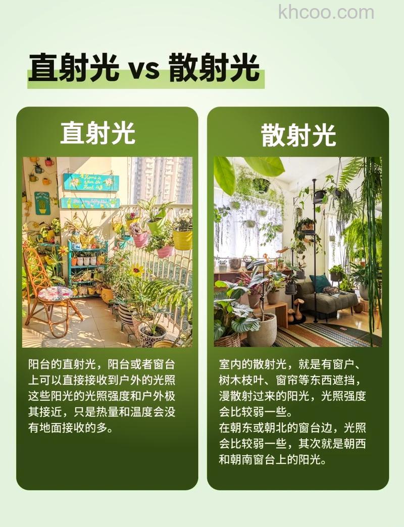 如何应用环境光