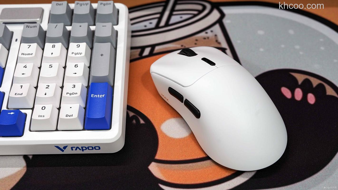 雷柏鼠标v210怎样 雷柏鼠标v210产品评测【详解】