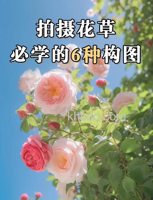 花卉摄影有什么技巧