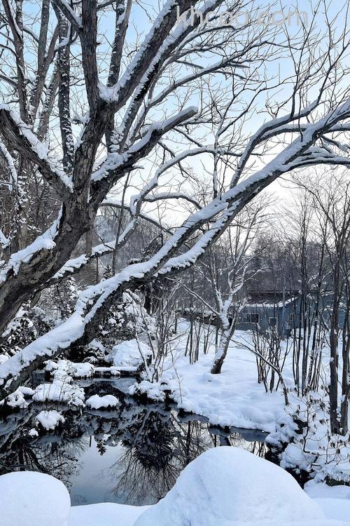 如何拍摄出漂亮的雪景
