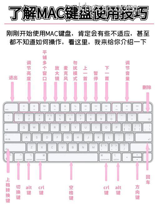 苹果电脑键盘失灵怎么办 苹果电脑键盘失灵解决办法【详解】