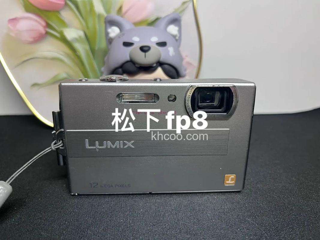 松下fp8怎么样 精致小巧很好便携