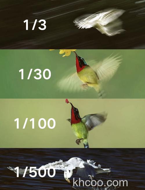 快门速度是什么 它与光圈最佳组合的准则又有哪些？