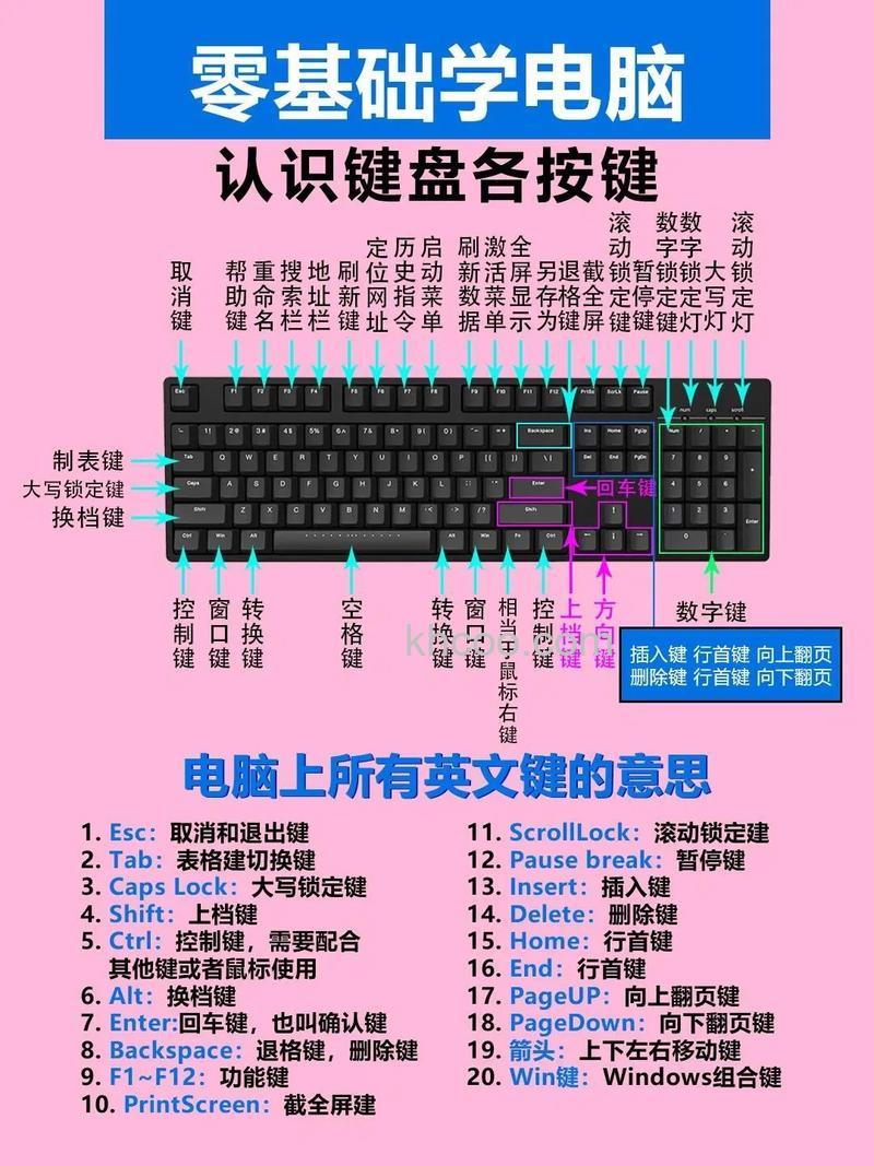 键盘上pause是什么意思 键盘上pause用途介绍