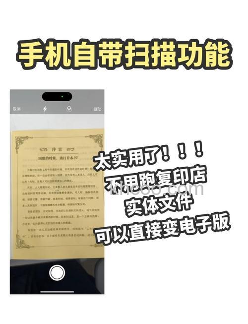OPPOA1x扫码扫不出来怎么办 OPPOA1x扫码扫不出来解决方法【步骤】