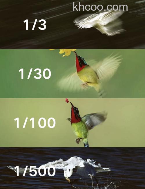 快门速度和光圈的具体组合【详细介绍】