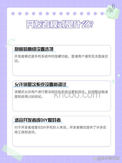 iqoo12怎么打开开发者模式 iqoo12打开开发者模式方法【教程】