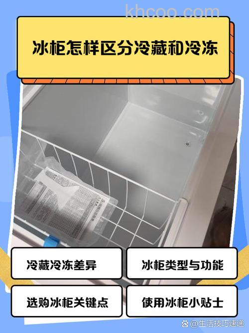 冰柜强冷和冷冻哪个冻的快 冰柜强冷和冷冻速冻对比【详解】