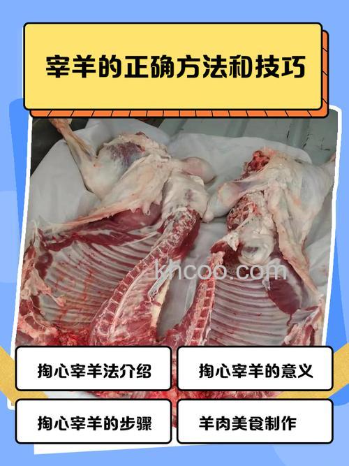 羊肉放在保鲜里有味了怎么处理 羊肉放在保鲜里有味的处理方法【详解】