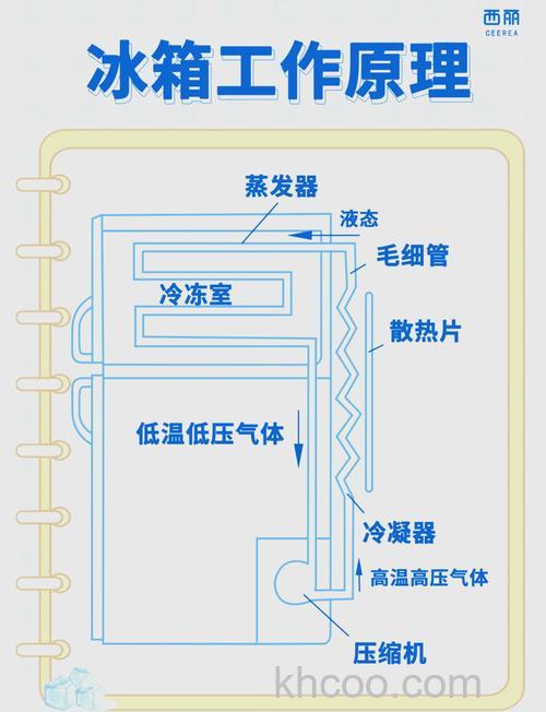电冰箱制冷原理是什么 电冰箱制冷原理介绍【详解】