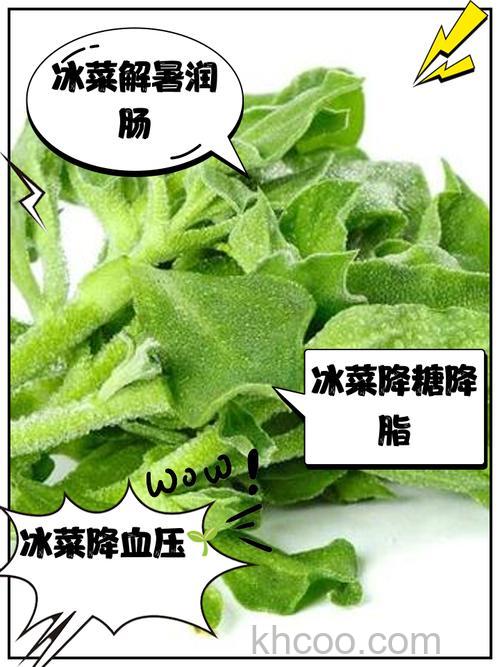 风冷冰箱菜容易坏的原因 风冷冰箱菜容易坏解决方法【详解】