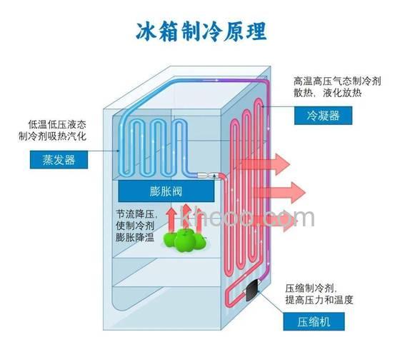 风冷冰箱冷凝器在哪 风冷冰箱冷凝器的位置与工作原理【详解】