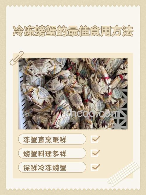 海鲜怎么冷冻 海鲜最佳冷冻技术【详解】