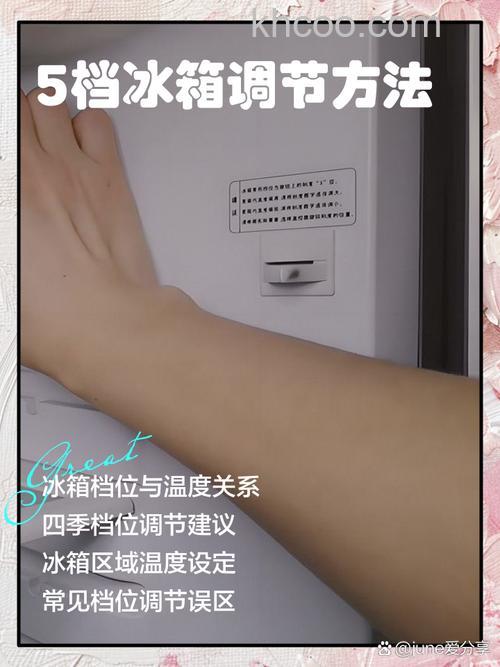 冷藏室调到5档是多少度 冷藏室调到5档温度【详解】