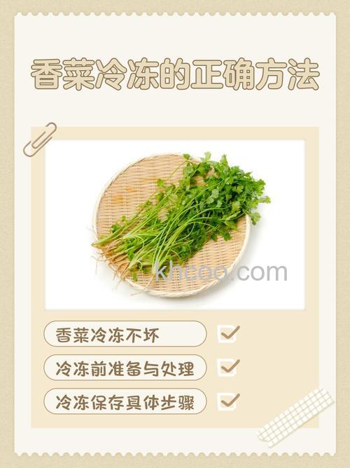 菜放冷冻里边再拿出来会坏掉吗 菜放冷冻里再拿出来影响介绍【详解】