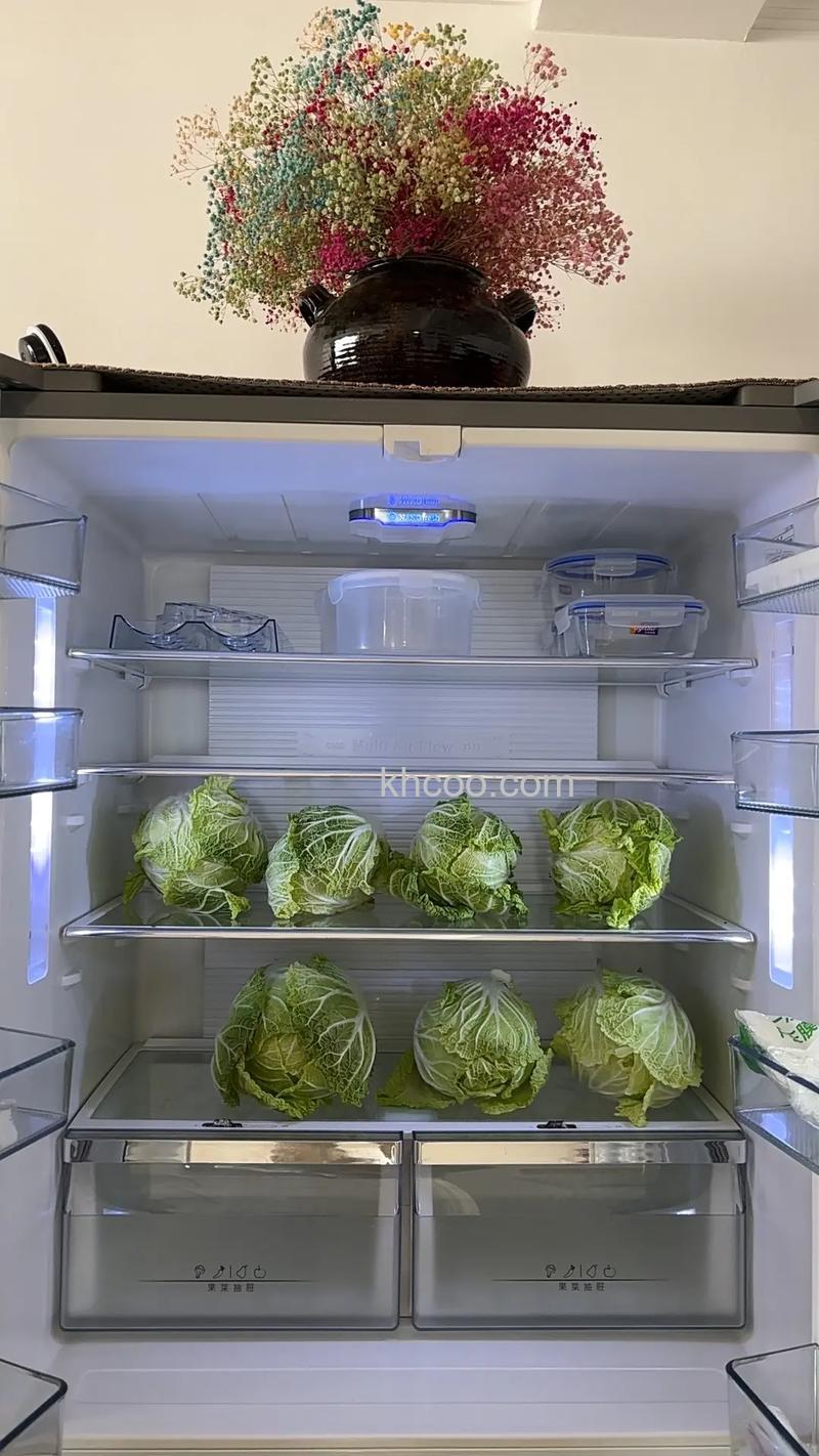 白菜放冰箱里冻了还能吃吗 白菜放冰箱里能放多久【详解】