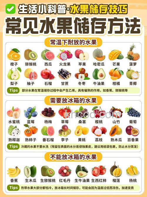 哪些蔬果不适合放冰箱【详解】