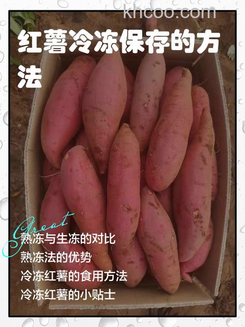 红薯可以放冰箱冷冻吗 红薯在冰箱能放多久【详解】