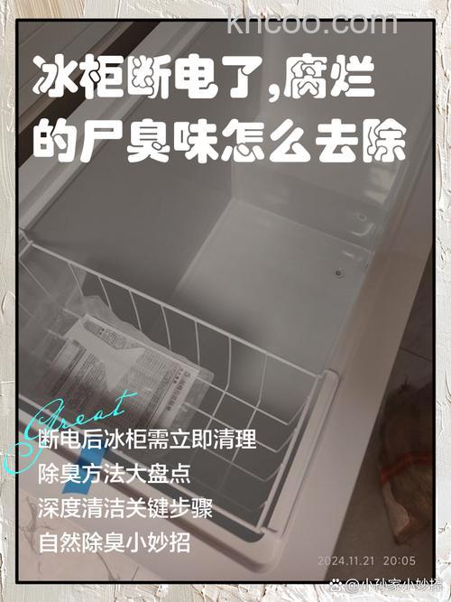 冰柜如何去异味 冰柜去除异味的方法【详解】
