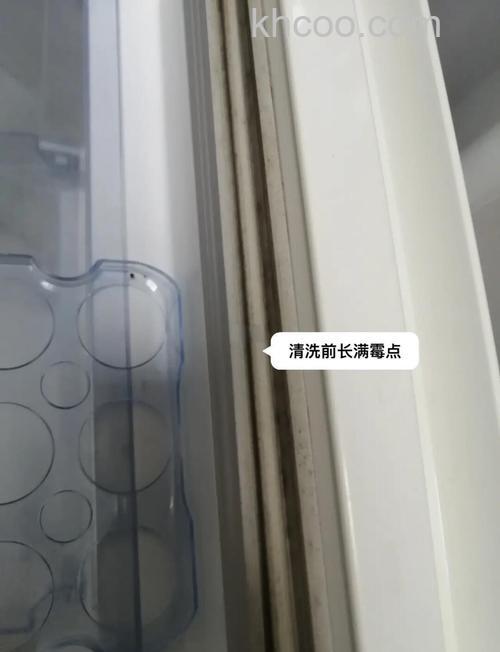 怎么去除冰箱门封条上的霉菌 去除冰箱门封条上的霉菌方法【详解】