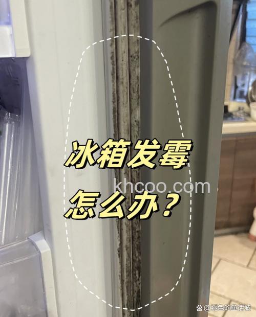 怎样去除冰箱封条上发霉的斑点 去除冰箱封条上发霉的斑点方法【详解】