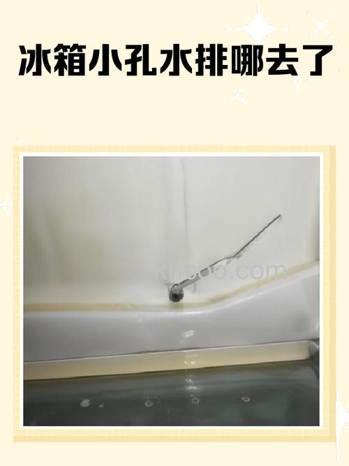 海尔冰箱保鲜室排水管在哪个位置 海尔冰箱保鲜室排水管位置介绍【详解】