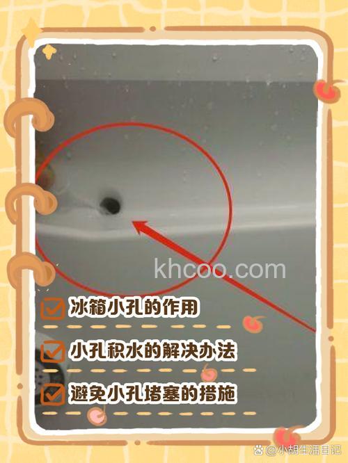 冰箱排水孔里的水流到哪里去了 冰箱排水孔里的水流去向介绍【详解】