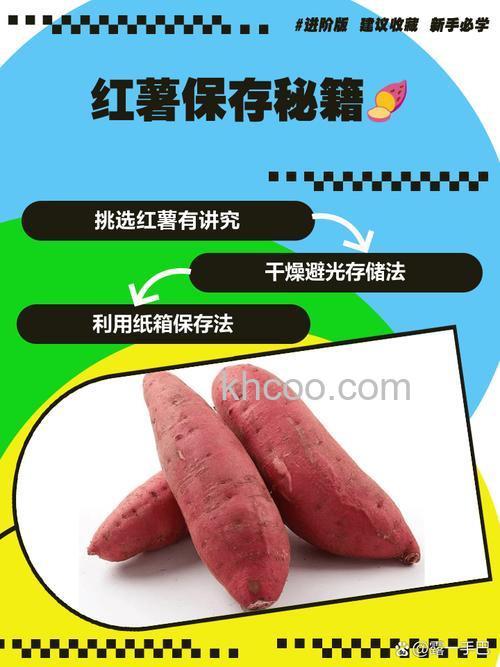 红薯能放冰箱冷冻吗 如何正确保存红薯【详解】