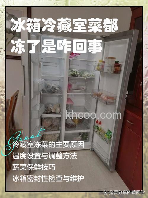 冰箱冷藏室4度菜冻结是啥原因 冰箱冷藏室4度菜冻结原因分析【详解】